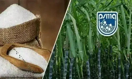 PSMA seeks sugar export approval