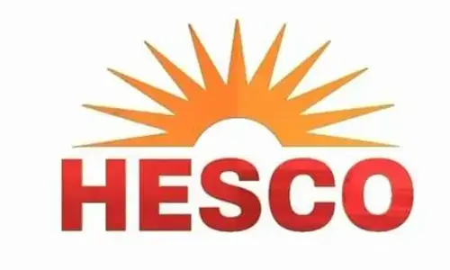&lsquo;Power distribution system needs modernization&rsquo;