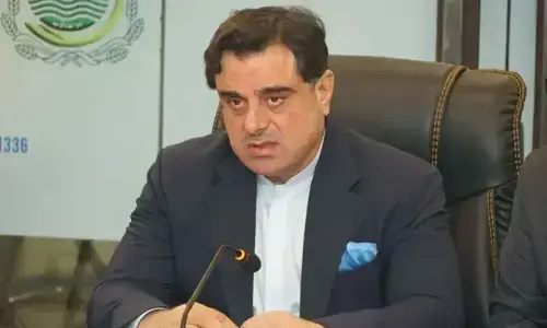 Voters in AJK endorse Punjab govt&rsquo;s track record: Minister