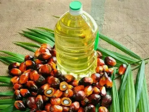 Palm oil rises on export hopes Palm oil rises on export hopes