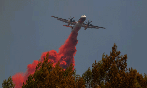 Europe&rsquo;s extreme heat could wipe out EU growth in 2026, Triodos bank says