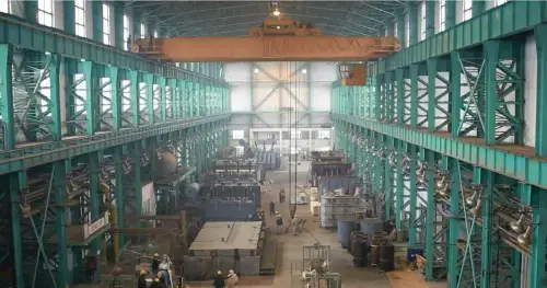 Privatisation: building the capacity to deliver