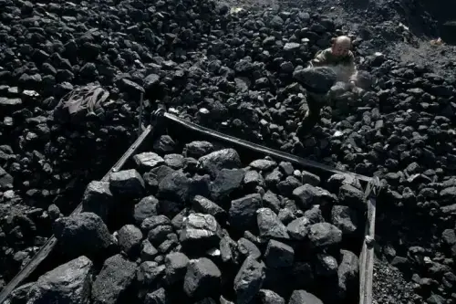 Coal India weighs buying Canada's Wealth Minerals unit for Chile lithium assets, sources say Coal India weighs buying Canada's Wealth Minerals unit for Chile lithium assets, sources say