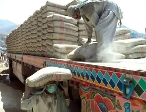 Cement: Local demand holds the fort