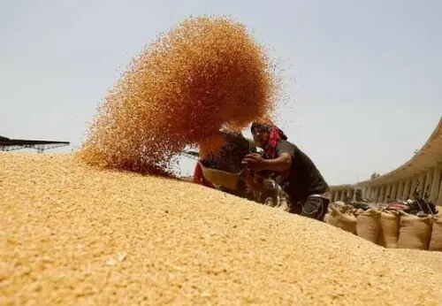 Jordan gets participants so far in 120,000 tons of wheat tender Jordan gets participants so far in 120,000 tons of wheat tender
