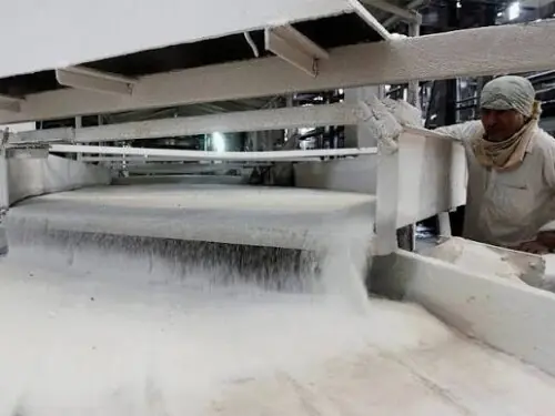 PSMA urges govt again to allow surplus sugar exports