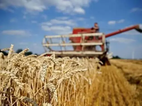 EU wheat jumps after Ukraine attacks on major Russian port