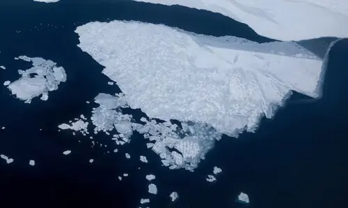 Chinese firm to launch Arctic shipping route till Oct