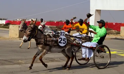 Karachi revives traditional donkey-cart race