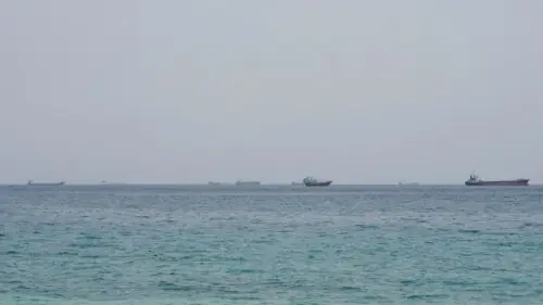 Shipping slows through Strait of Hormuz after tanker attacks, data shows