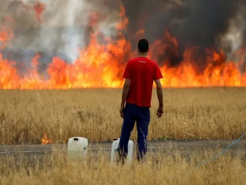 Belgium battles its largest wildfire on record