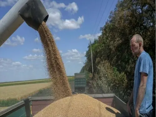 Russia and Ukraine&rsquo;s Black Sea grain exports grind to a virtual halt