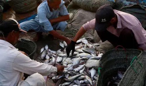 National fisheries policy being prepared to unlock $10bn potential: minister
