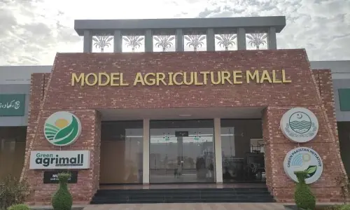 &lsquo;Model Agriculture Mall&rsquo;: Agri Dept directed to introduce special packages