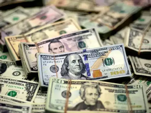 Pakistan rupee records gain against US dollar