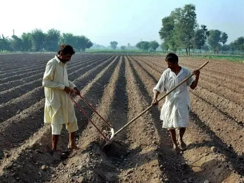 Govts to address challenges faced by farmers, livestock owners