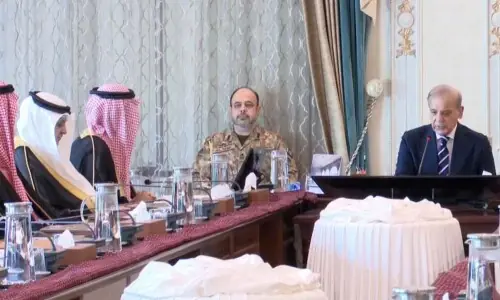 Saudi team, PM discuss investment