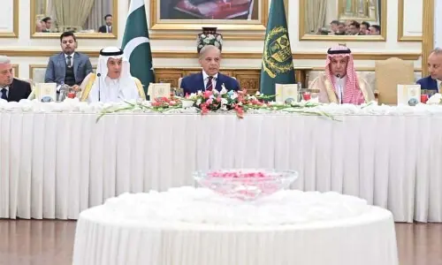 Agriculture, food security, water management: Pakistan, KSA agree to expand cooperation