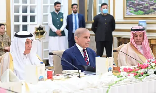 Pakistan, Saudi Arabia set $3bn target for agricultural, food exports