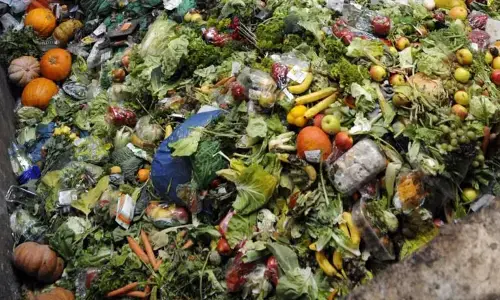 The growing problem of food waste