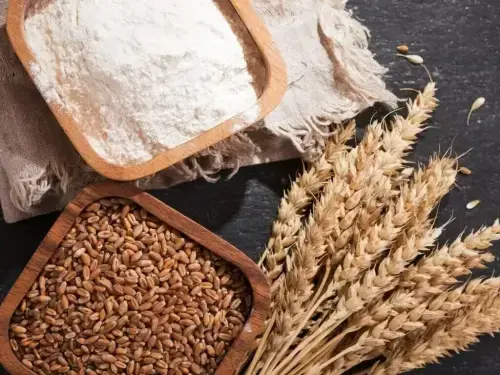 Chicago wheat falls as Turkey prepares Black Sea grain passage plan