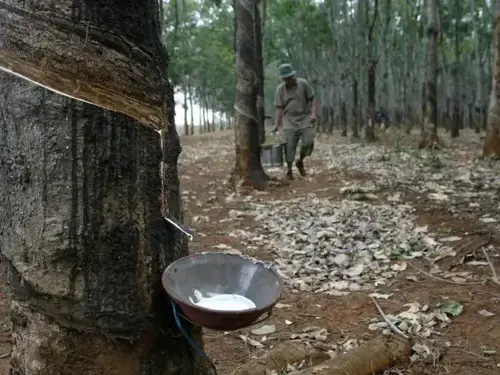 Japan rubber futures fall for fourth session