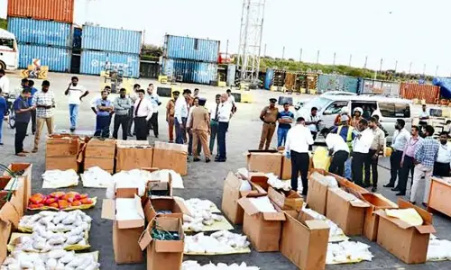 Sri Lanka-US agents bust &lsquo;Pakistan drug network&rsquo;
