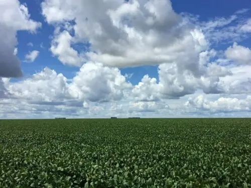 Revisiting land reforms Revisiting land reforms