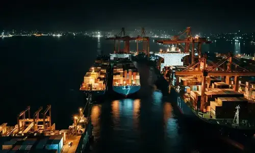 NA panel grills MoC over export failure
