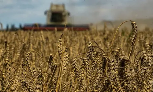 Weather, war push up food prices: FAO