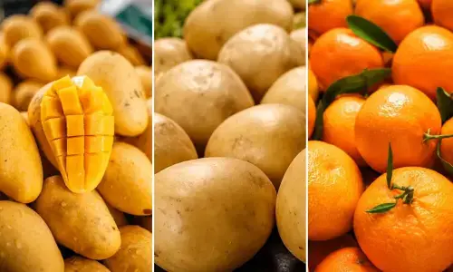 SE Fruits & Vegetables secures PSX approval for IPO to raise up to Rs1.92bn