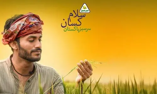 Sarsabz announces winners of &lsquo;Dil Se Dekho Sarsabz Pakistan&rsquo; drive