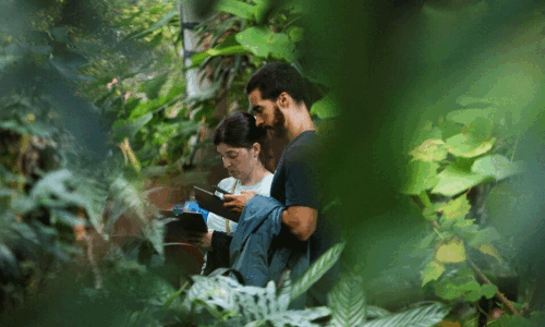 London 'plant parents' adopt a piece of historic Barbican urban jungle