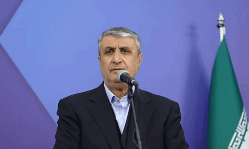 Iran nuclear chief blocked by US from Vienna meeting: state TV