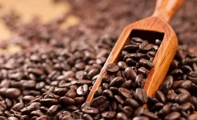 Arabica coffee prices ease on strong Brazil exports