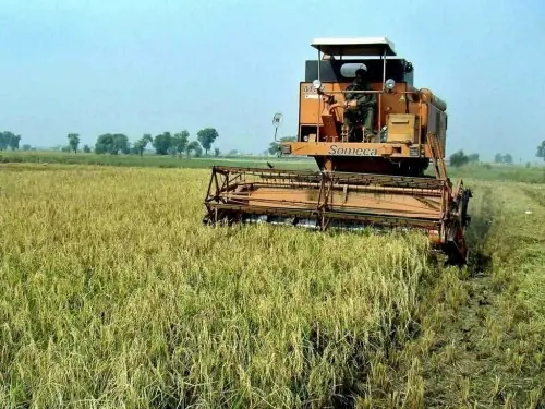 Modernising agriculture is not enough