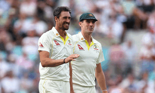 Australia bowling attack boosted as Cummins and Starc return v South Africa Australia bowling attack boosted as Cummins and Starc return v South Africa