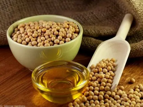 Argentina sees potential for record 2026/27 grains production