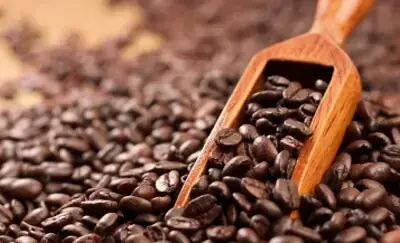 Arabica coffee sets three-month low, sugar and cocoa also fall