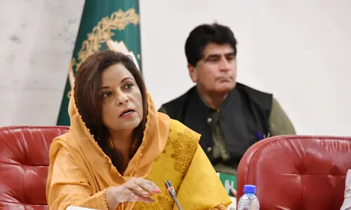 Chairpersons of NCSW, PCSW: Special panel concerned over delay in appointment