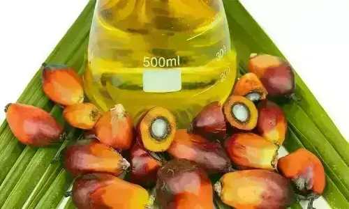 Palm opens over 2% lower on weaker crude and Chicago soyoil, set for weekly loss