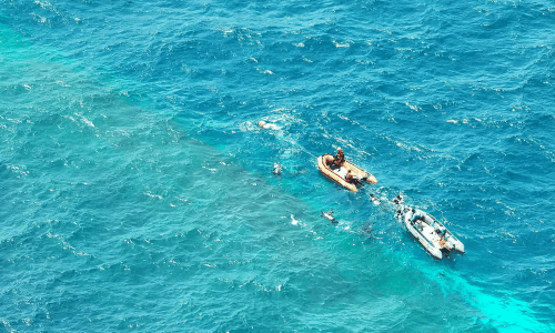 Indonesia ferry death toll hits 66 as search enters 16th day