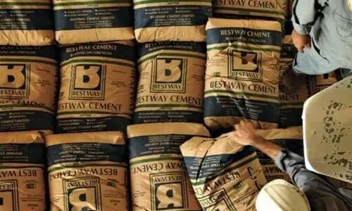 Bestway Cement Limited: performance and outlook