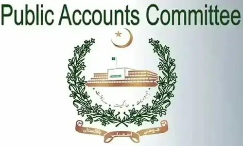 Customs declaration, classification processes: PAC directs officials to conduct performance audit