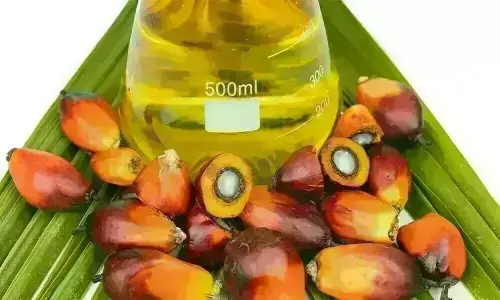 Palm inches higher on Dalian strength but remains on track for monthly drop