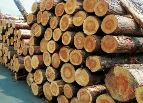 APTTA seeks permission to import wood logs with bark