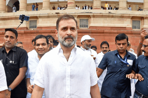 Rahul Gandhi, others briefly detained in election protest
