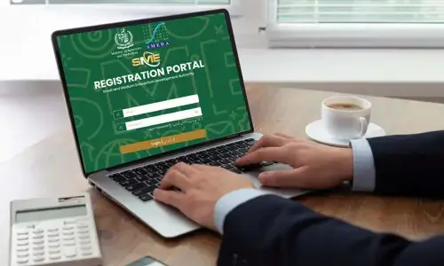 SMEs digital portal launch likely by Nov-end