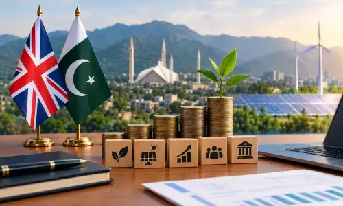 برٹش انٹرنیشنل انویسٹمنٹ کی پاکستان میں معاشی استحکام کی پیش رفت پر حوصلہ افزائی، پالیسیوں میں تسلسل پر زور