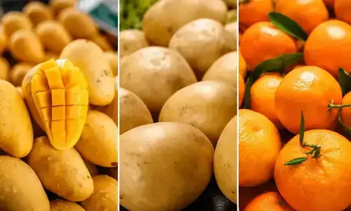 SE Fruits and Vegetable to refile IPO application with additional disclosures
